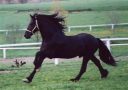 CA82XRT2.jpg